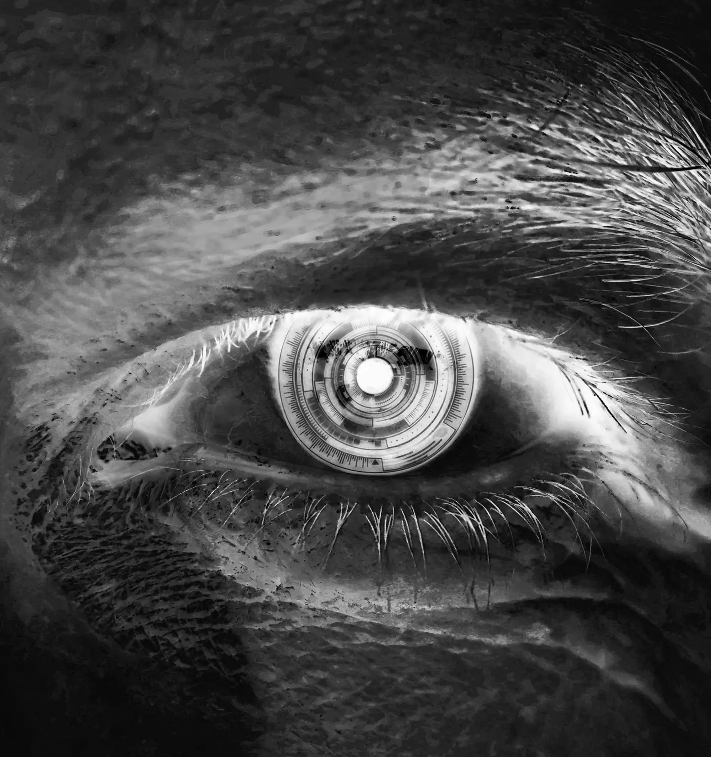 Ojo Holografico
